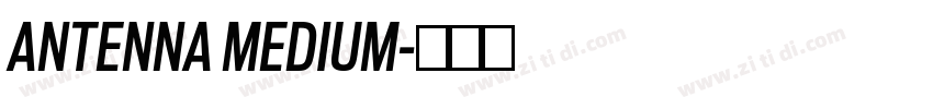 ANTENNA MEDIUM字体转换